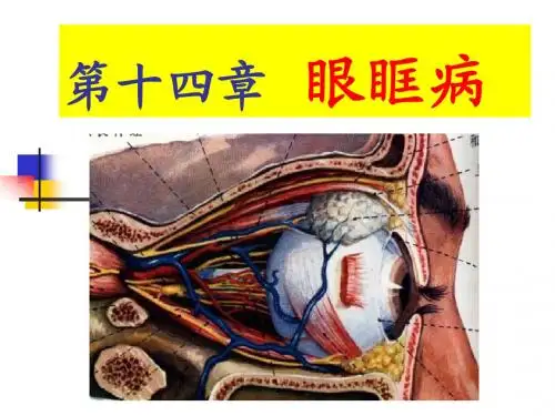 214眼眶病