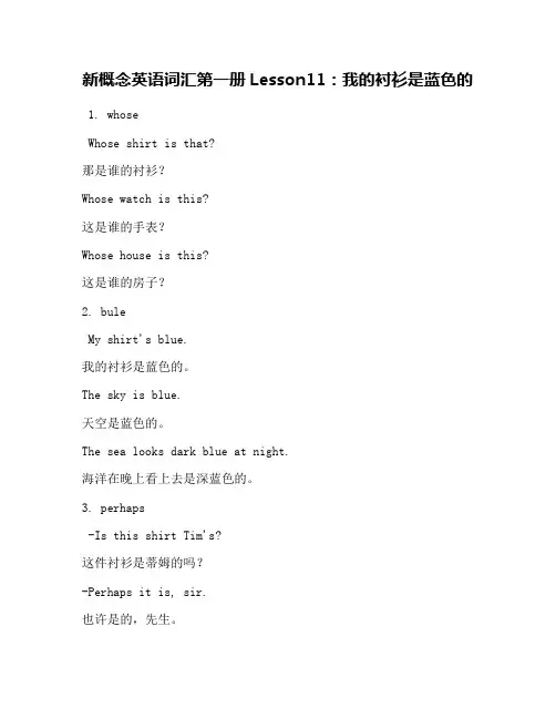 新概念英语词汇第一册Lesson11：我的衬衫是蓝色的