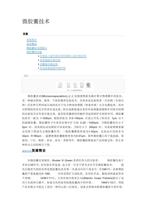 微胶囊技术