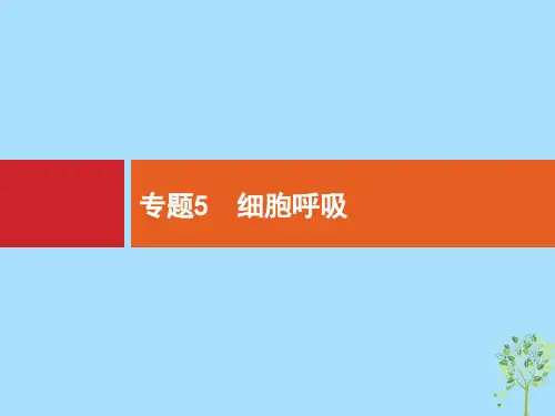 浙江高考生物(选考)复习课件5细胞呼吸