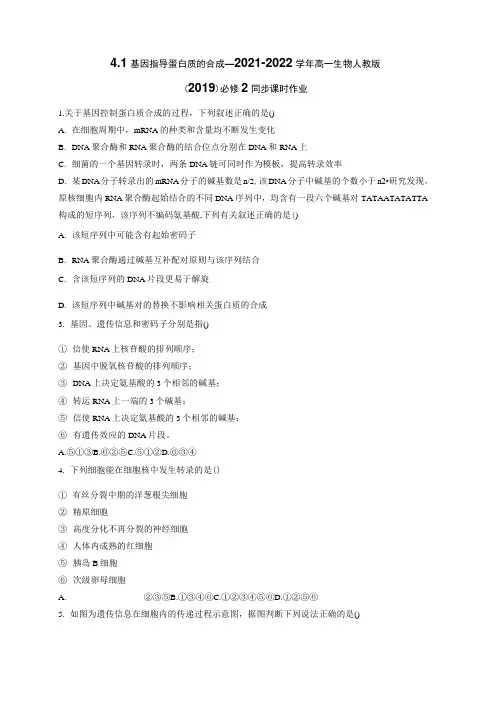 4.1基因指导蛋白质的合成_2021-2022学年高一生物人教版(2019)必修2同步课时作业