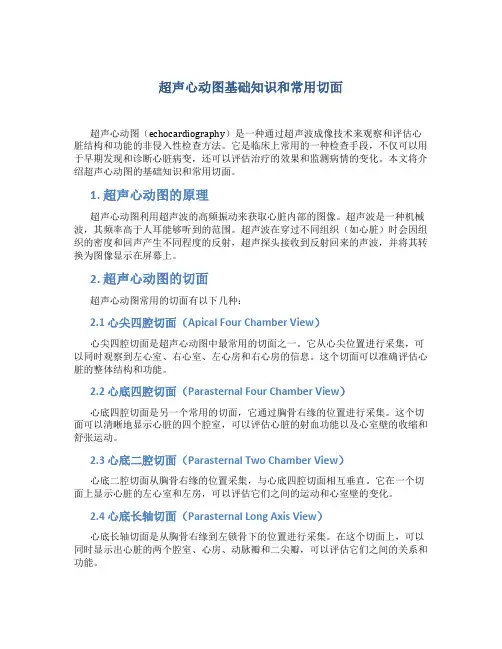 超声心动图基础知识和常用切面