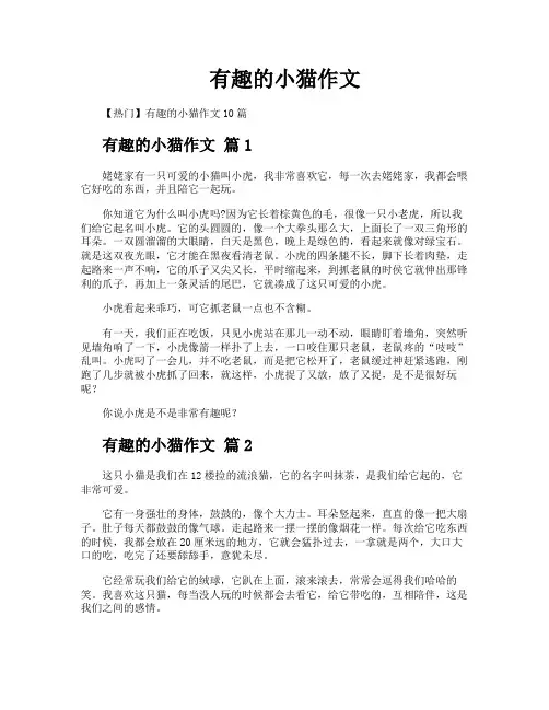 有趣的小猫作文