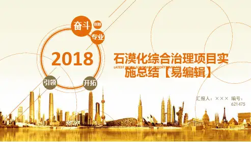 石漠化综合治理项目实施总结【易编辑】