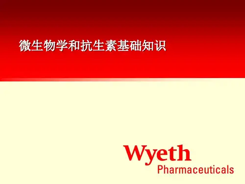 1微生物学和抗生素基础知识