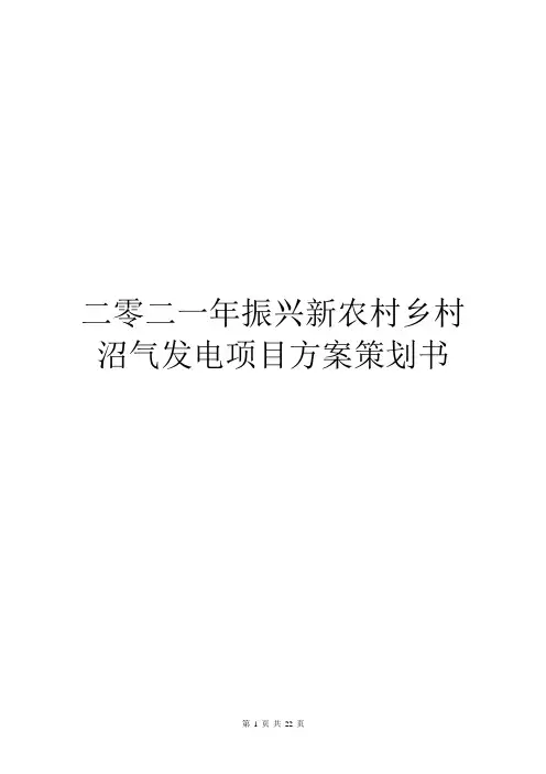 二零二一年振兴新农村乡村沼气发电项目方案策划书