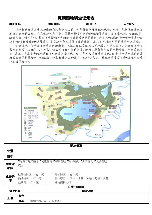 沉湖湿地调查记录表