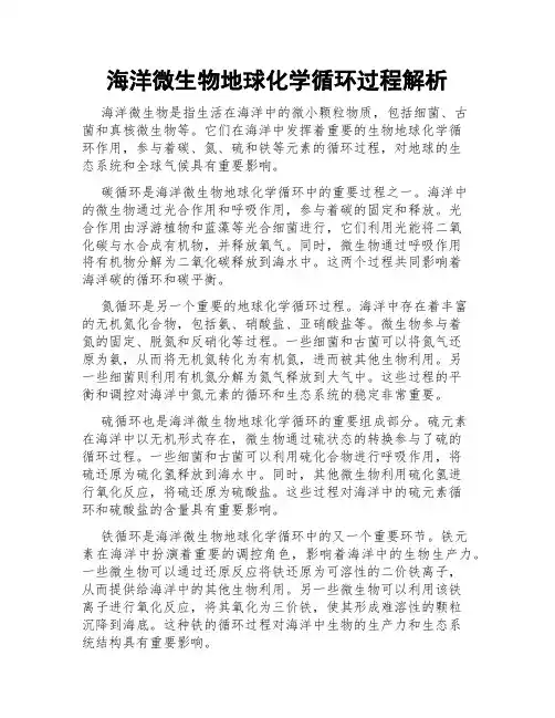 海洋微生物地球化学循环过程解析