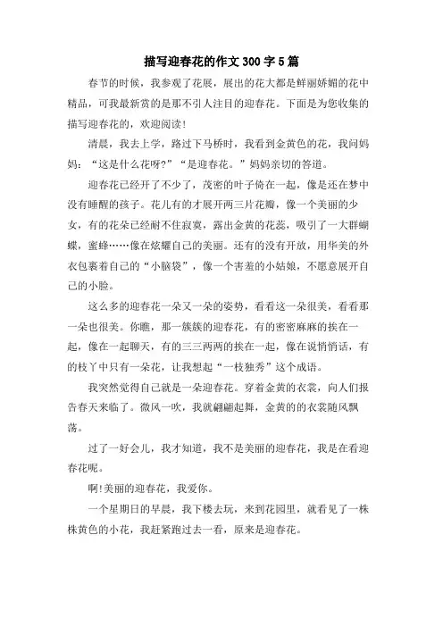 描写迎春花的作文300字5篇