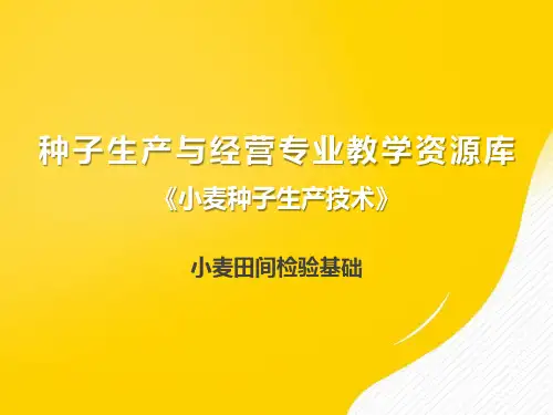 [正式版]小麦田间检验基础ppt资料