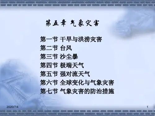 灾害地理学第五章气象灾害资料