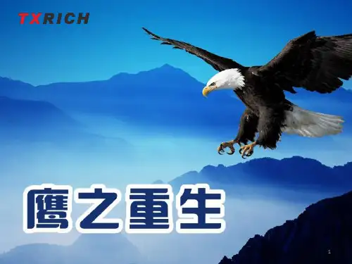鹰之重生ppt课件