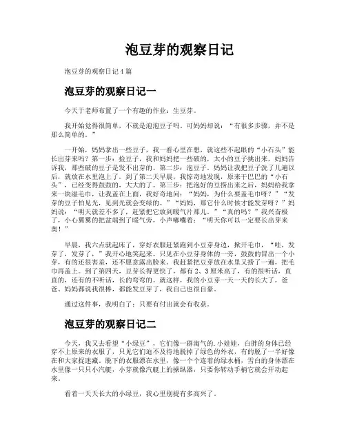 泡豆芽的观察日记