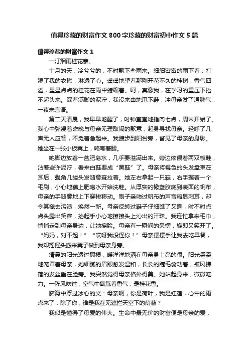 值得珍藏的财富作文800字珍藏的财富初中作文5篇
