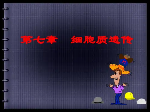 第七章细胞质遗传练习题