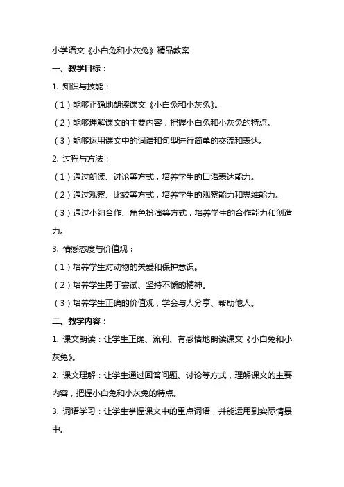 小学语文《小白兔和小灰兔》精品教案