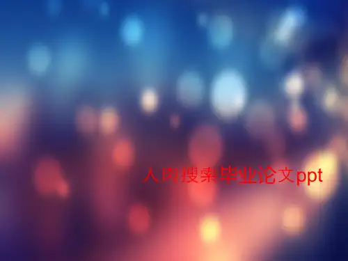 人肉搜索毕业论文ppt