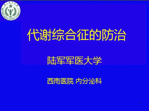 代谢综合征幻灯片PPT课件