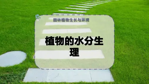 植物的水分生理
