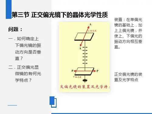 正交偏光镜下的晶体光学性质