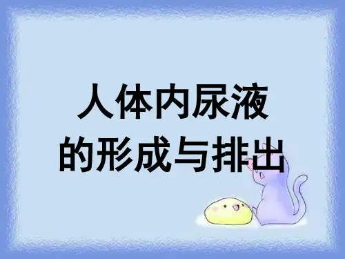北京版生物七下《人体尿液的形成与排出》ppt