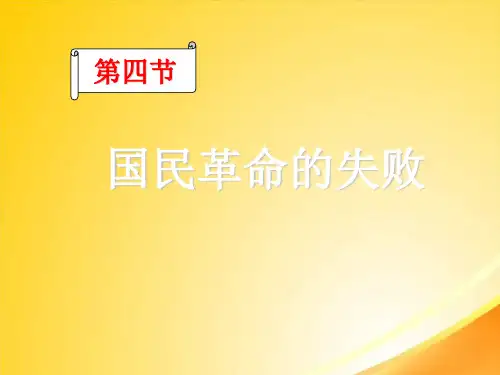 国民革命运动的失败ppt4 人教版