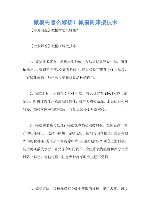 橄榄树怎么嫁接？橄榄树嫁接技术