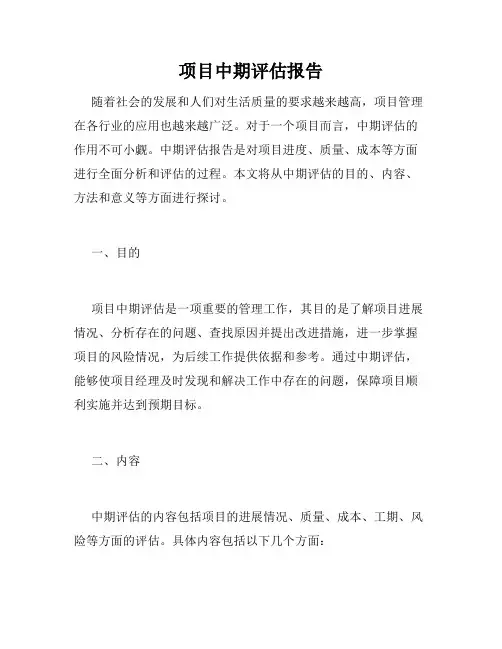 项目中期评估报告