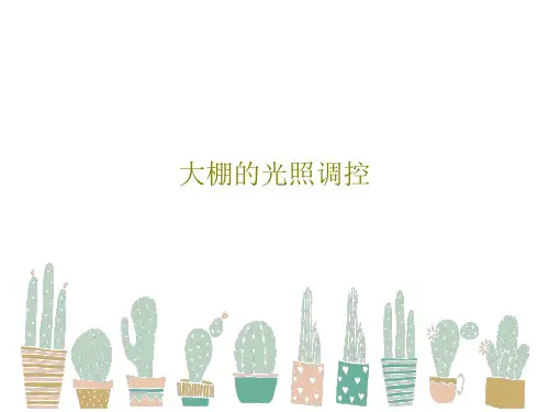 大棚的光照调控共31页