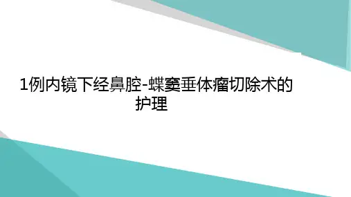 1例内镜下经鼻腔-蝶窦垂体瘤切除术的护理