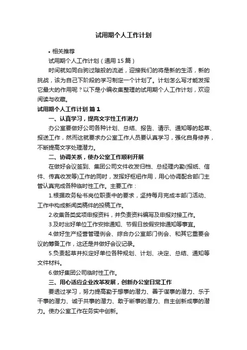 试用期个人工作计划