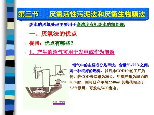 厌氧活性污泥法