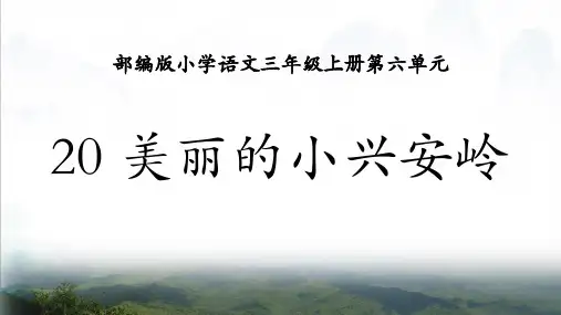 美丽的小兴安岭PPT课件
