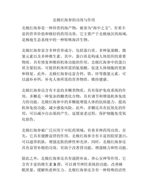 北极红海参的功效与作用