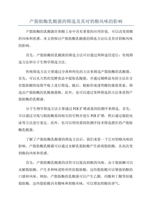 产脂肪酶乳酸菌的筛选及其对奶酪风味的影响