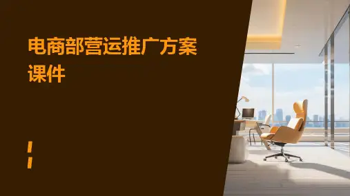电商部营运推广方案课件