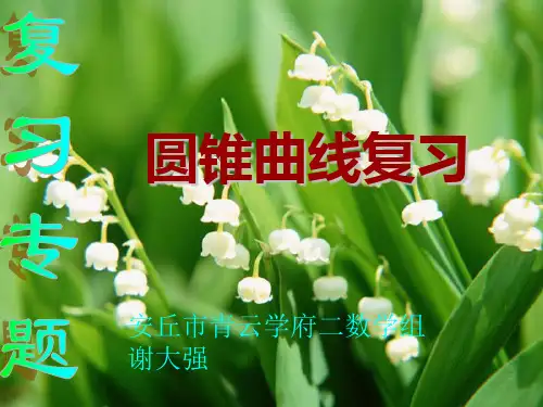 圆锥曲线复习_课件(经典)