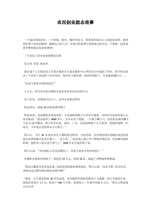 农民创业励志故事