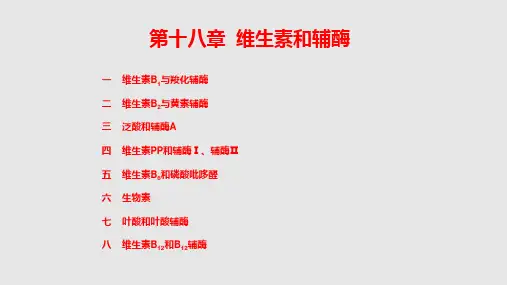 生物化学篇专题篇维生素和辅酶学习PPT教案