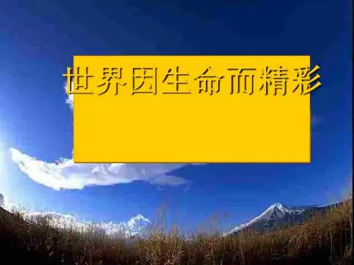 世界因生命而精彩ppt优秀课件13