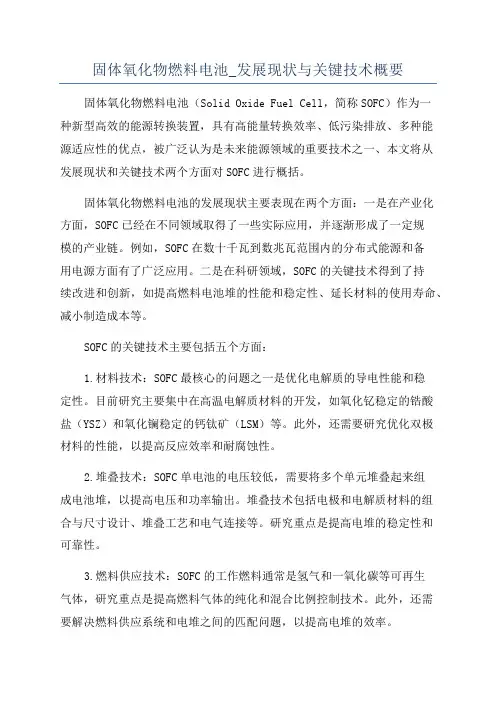 固体氧化物燃料电池_发展现状与关键技术概要