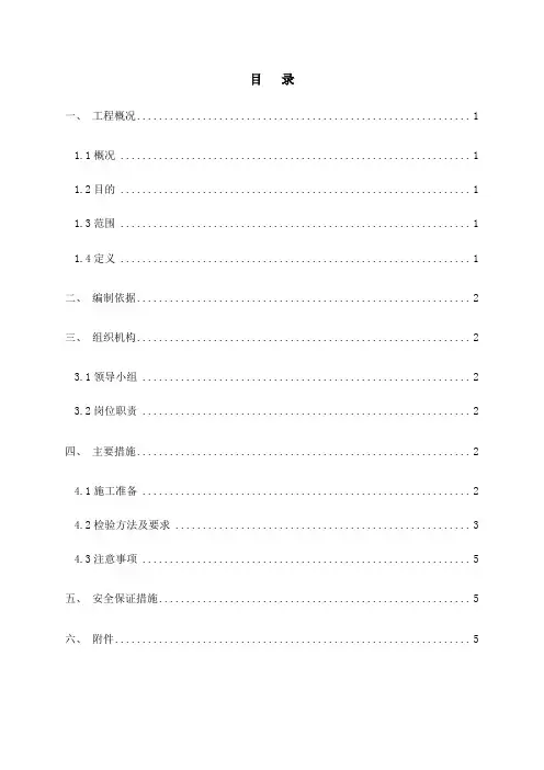 结构实体检验专项方案