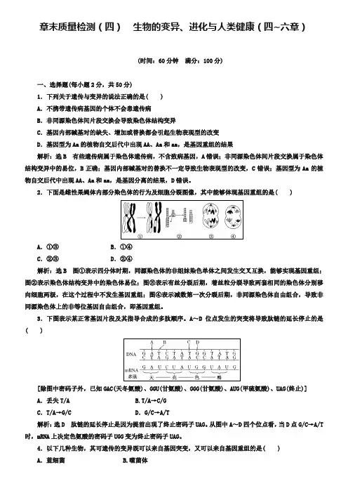 2018-2019学年高中生物浙科版(浙江专版)必修二学案：章末质量检测(四) 生物的变异、进化与人类健康(四