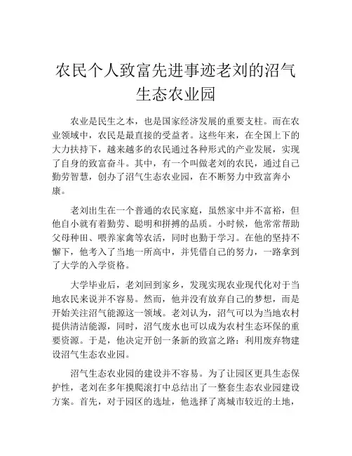 农民个人致富先进事迹老刘的沼气生态农业园