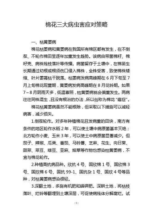 棉花三大病虫害应对策略
