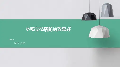 水稻立枯病防治效果好