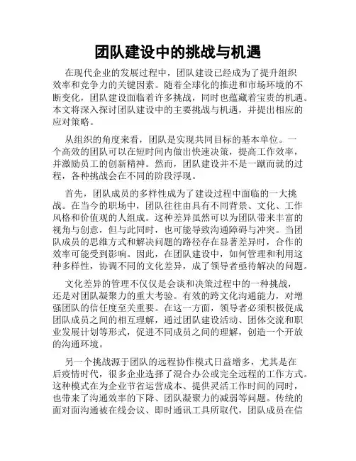 团队建设中的挑战与机遇