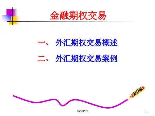 《外汇期权交易》PPT课件