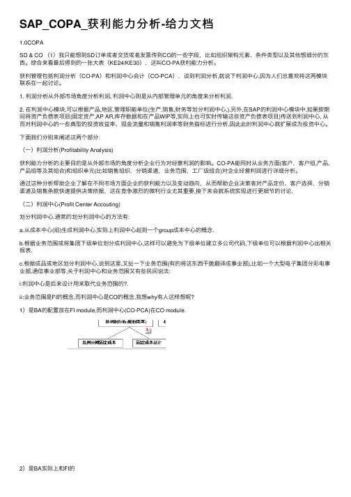 SAP_COPA_获利能力分析-给力文档