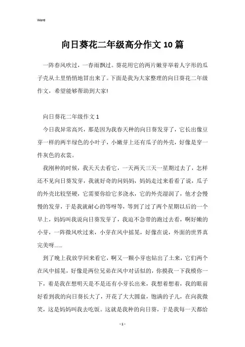 向日葵花二年级高分作文10篇